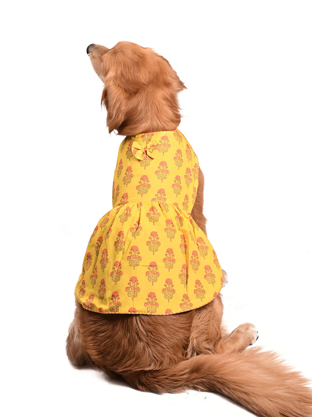 Dogs Allover Printed Rayon Sleeveless Dress